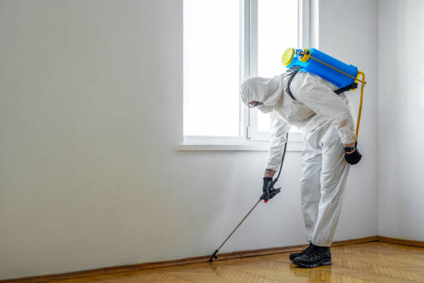 Best Local Pest Control Services  in Bloomville, OH