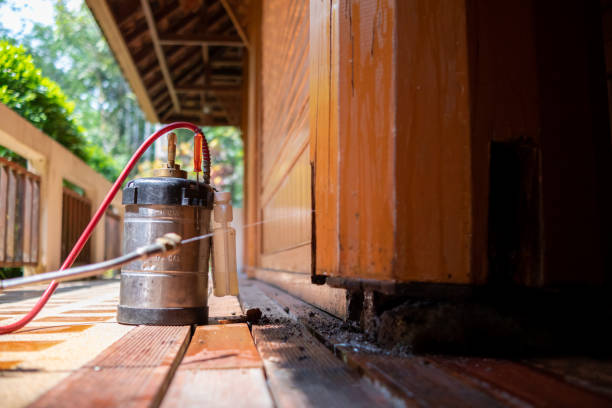 Best Affordable Exterminators  in Bloomville, OH