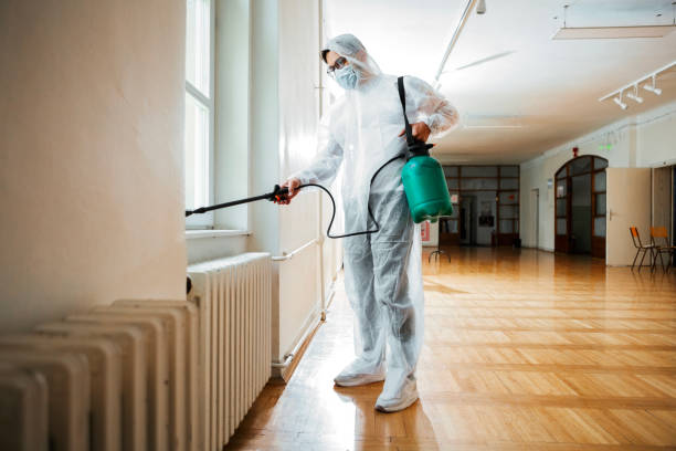 Best Flea Control Services  in Bloomville, OH